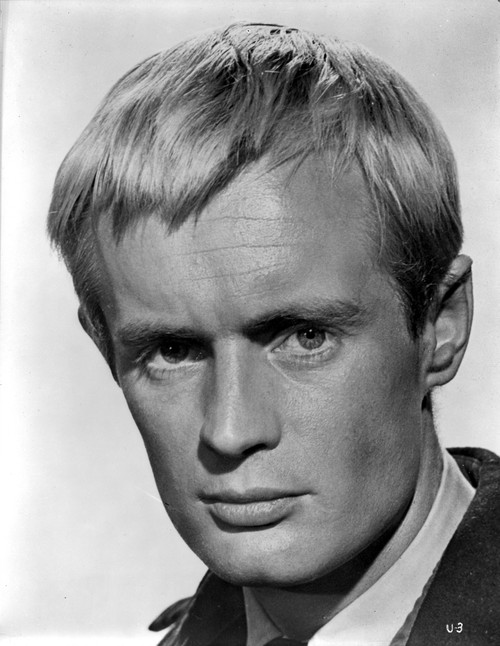 David McCallum Photo Print - Item # VARCEL684446