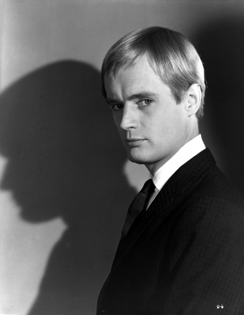 David McCallum Photo Print - Item # VARCEL684450