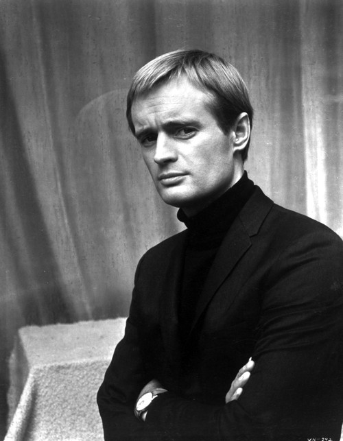 David McCallum Photo Print - Item # VARCEL684451