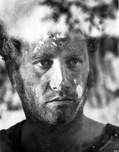 Richard Dreyfuss Photo Print - Item # VARCEL684510