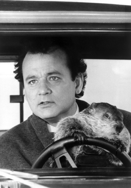 Film still of Bill Murray driving a car with a beaver Photo Print - Item # VARCEL684691