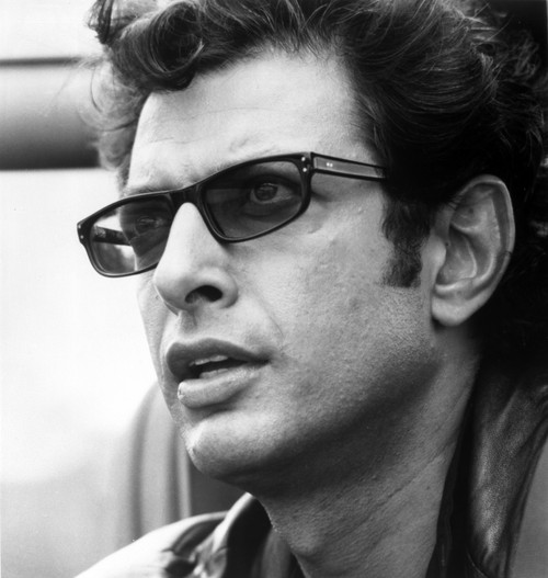 Jeff Goldblum in Jurassic Park Photo Print - Item # VARCEL684786