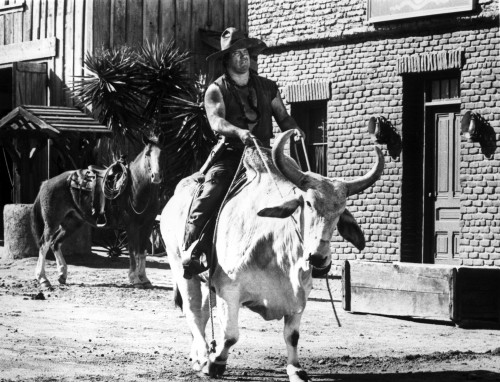 Alex Karras riding a cow Photo Print - Item # VARCEL684810