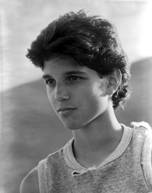 Ralph Macchio Photo Print - Item # VARCEL684844