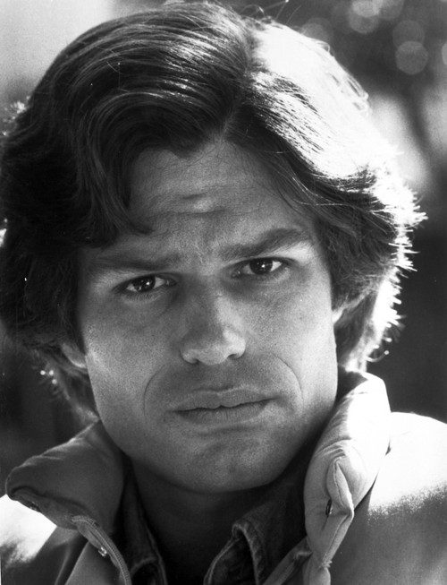 Harry Hamlin Photo Print - Item # VARCEL684954