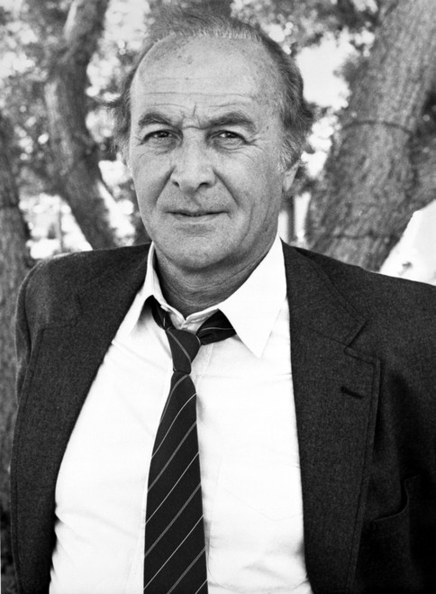 Robert Loggia wearing a suit and tie outdoors Photo Print - Item # VARCEL685021