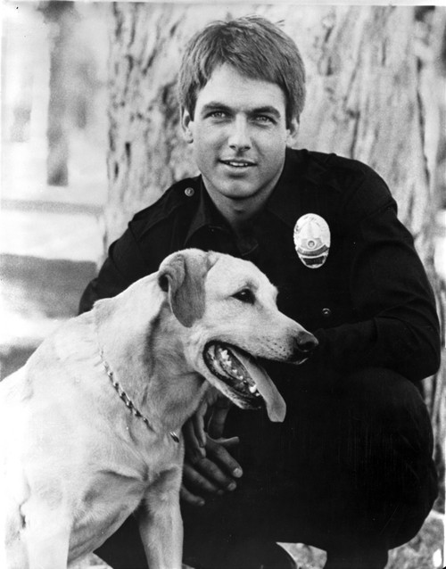 Mark Harmon wearing a police uniform with a dog Photo Print - Item # VARCEL685072