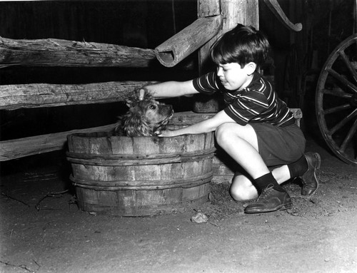 Bob Watson washing a dog in a barrel Photo Print - Item # VARCEL685279