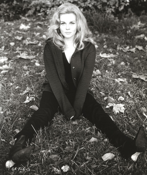 Ann Margret sitting on the Ground wearing Sweater Classic Photo Print - Item # VARCEL685500