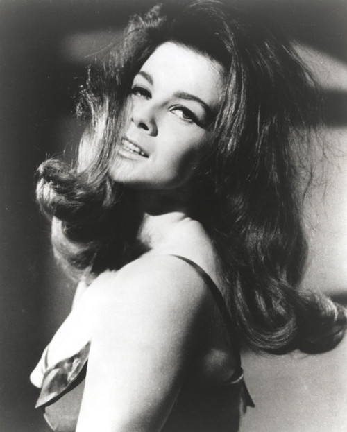 Ann-Margaret Photo Print - Item # VARCEL685501