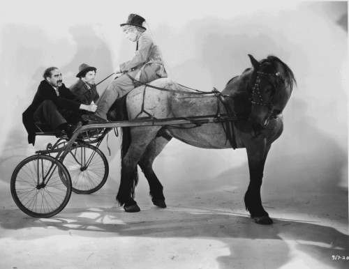 Marx Brothers Riding Horse in Classic Portrait Photo Print - Item # VARCEL685631