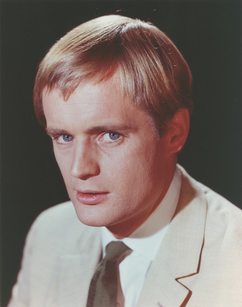 David McCallum in Tuxedo Portrait Photo Print - Item # VARCEL685762