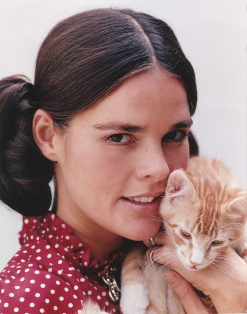 Ali MacGraw Posed in Red Dress with Kitten Photo Print - Item # VARCEL685793