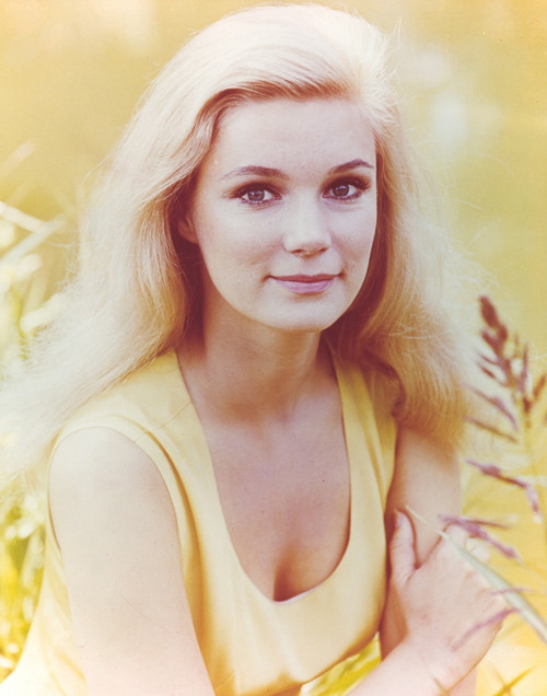 Yvette Mimeaux Posed in Yellow Dress Photo Print - Item # VARCEL686007