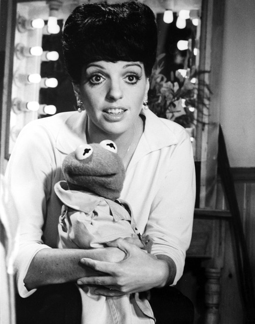 Television still from The Muppet Show Photo Print - Item # VARCEL686014
