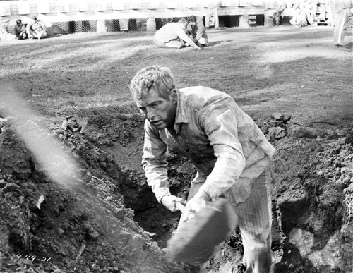 Paul Newman Shoveling Garbage in Formal Outfit Black and White Photo Print - Item # VARCEL686345
