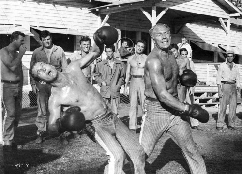Paul Newman Boxing Sparing Black and White Photo Print - Item # VARCEL686342