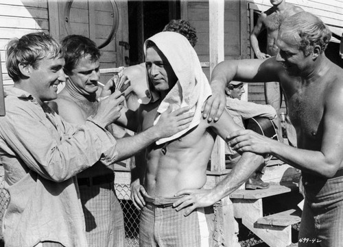 Paul Newman Massaged to Start the Fighting Scene Photo Print - Item # VARCEL686344