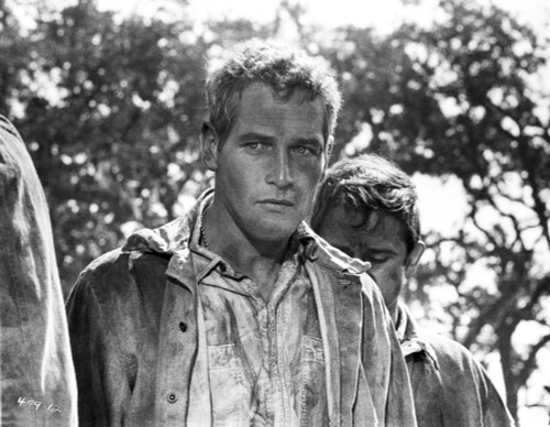 Paul Newman Posed in Dirty Outfit Photo Print - Item # VARCEL686354