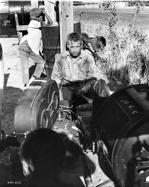 Paul Newman Tied Up in Classic Photo Print - Item # VARCEL686359