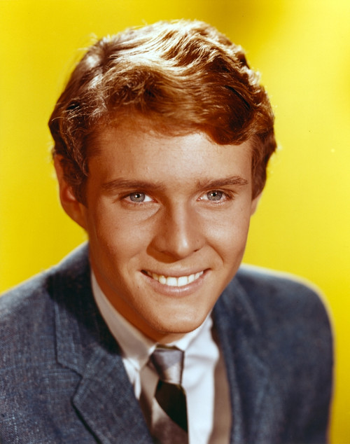Jay North in Formal Outfit Portrait Photo Print - Item # VARCEL686464