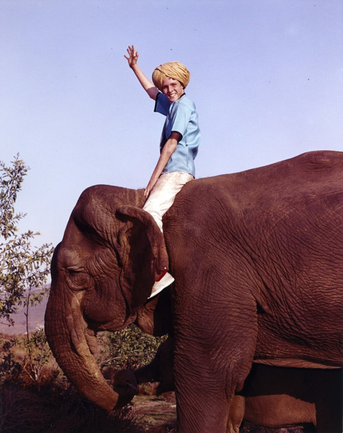 Jay North Riding on Elephant in Blue Short Sleeve Shirt with Right Hand Raised Up Waving Photo Print - Item # VARCEL686466