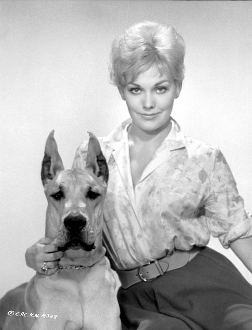 Kim Novak in Flower Shirt Portrait Photo Print - Item # VARCEL686516