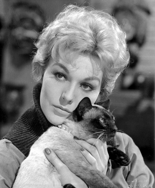 Kim Novak Holding Cat Portrait Photo Print - Item # VARCEL686600