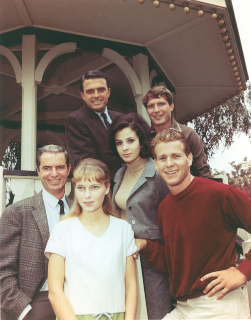 Peyton Place Outdoor Cast Portrait Photo Print - Item # VARCEL686828