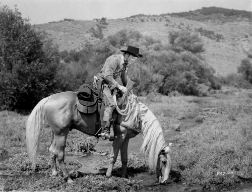 Roy Rogers Riding on a Horse Eating Grass Photo Print - Item # VARCEL687296