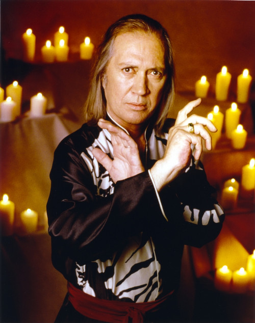 David Carradine in Fighting Posed Photo Print - Item # VARCEL687919