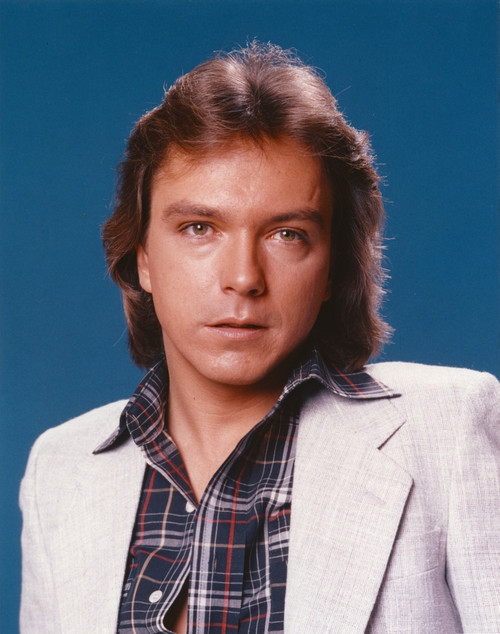 David Cassidy Portrait in White Coat Photo Print - Item # VARCEL687989