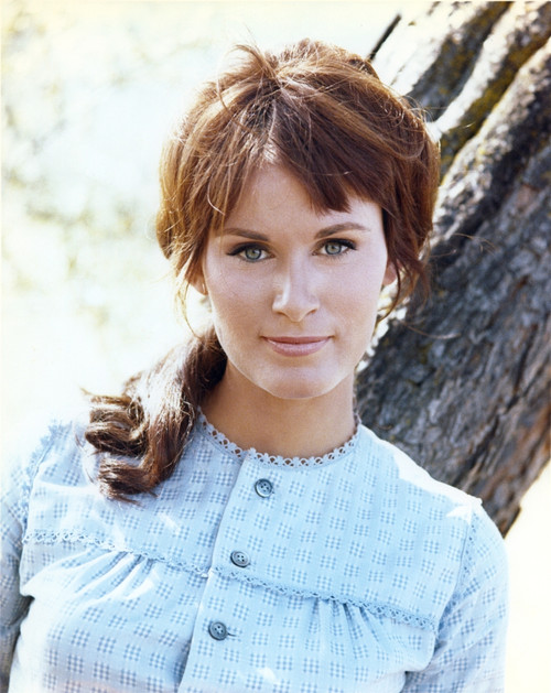 Susan Clark Posed in Blue Dress Photo Print - Item # VARCEL688426