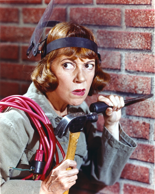 Imogene Coca Posed in Brick Background Photo Print - Item # VARCEL688480