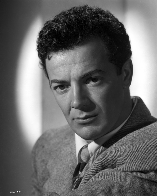 A Portrait Of Cornel Wilde Photo Print - Item # VARCEL696321