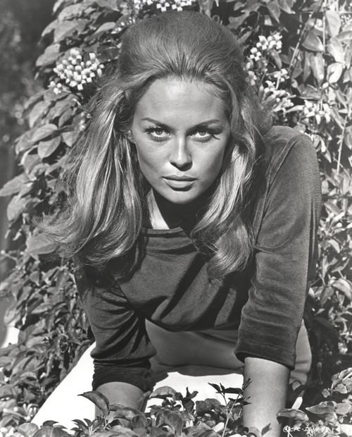 Faye Dunaway Posed in Classic Photo Print - Item # VARCEL696375