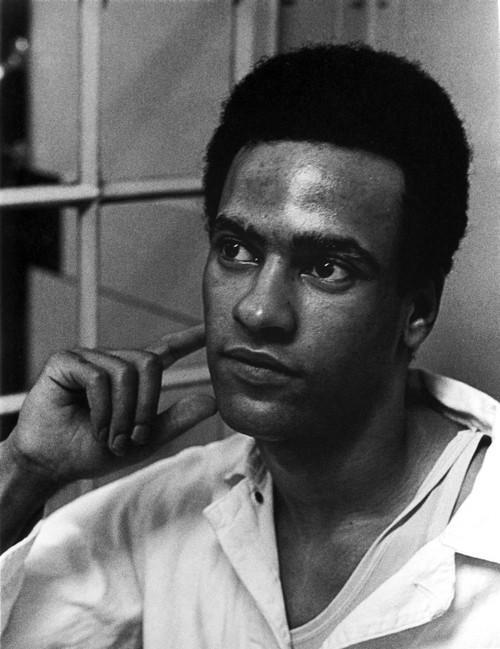 Black Panthers Photo Print - Item # VARCEL696751