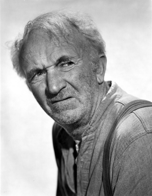 Brennan Walter Posed in Denim Shirt Photo Print - Item # VARCEL697492