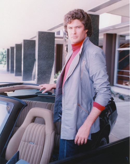 David Hasselhoff standing on a Car wearing Grey Coat Photo Print - Item # VARCEL697484