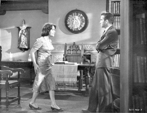 Suddenly Last Summer Man and Woman Arguing Scene Excerpt from Film in Black and White Photo Print - Item # VARCEL698682