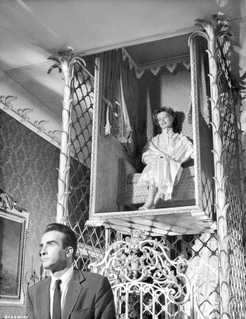 Suddenly Last Summer Cast Members Black and White Couple Portrait Excerpt from Film Photo Print - Item # VARCEL698703