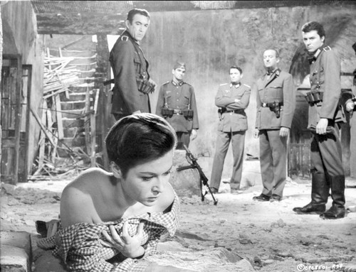 A scene from The Guns of Navarone Photo Print - Item # VARCEL698852