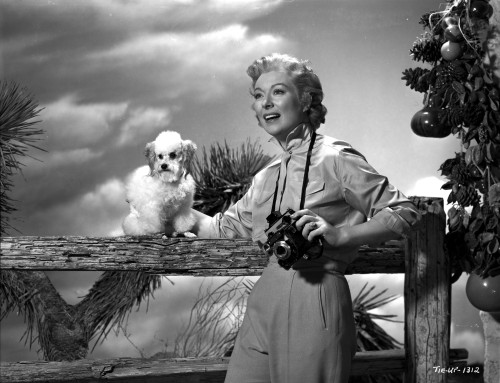 Greer Garson wearing Silk Top Holding a Camera and a Dog Photo Print - Item # VARCEL698929