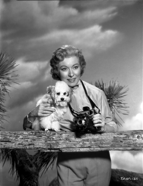 Greer Garson Posed wearing Silk Top Holding a Camera and a Dog Photo Print - Item # VARCEL698923
