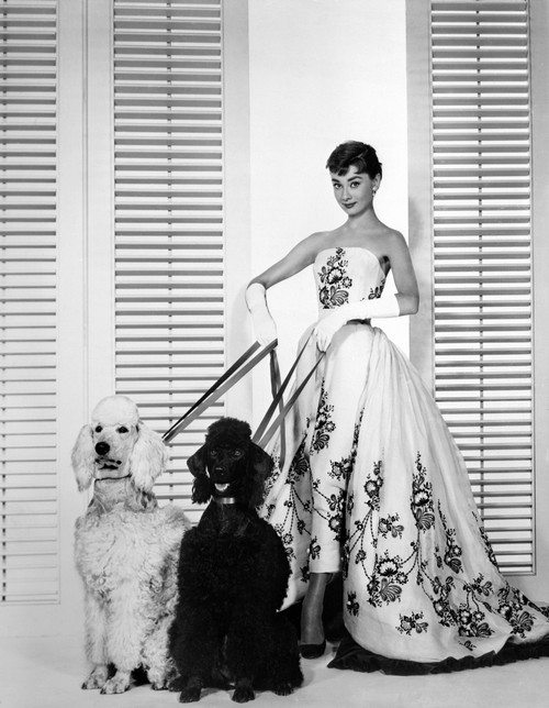 Audrey Hepburn Walking Dogs Sabrina Photo Print - Item # VARCEL698930