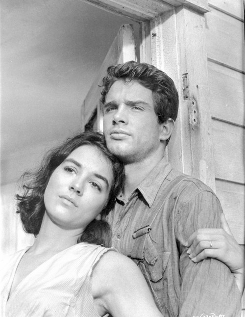 A Scene From Splendor in the Grass Photo Print