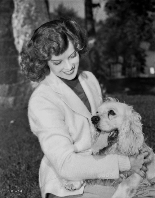 Katharine Hepburn posed in White Shirt with Dog Photo Print - Item # VARCEL699036