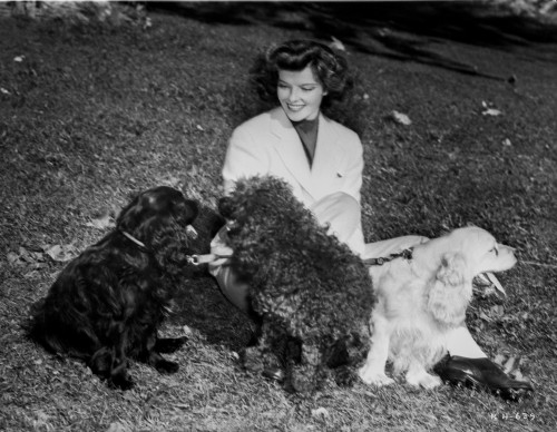 Katharine Hepburn posed in Black and White Photo Print - Item # VARCEL699093