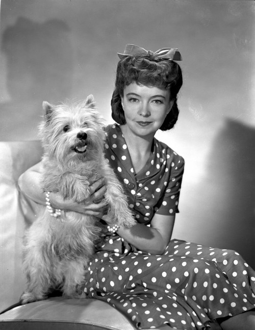 Lillian Gish on a Polka Dotted Dress sitting with a Dog Photo Print - Item # VARCEL699128