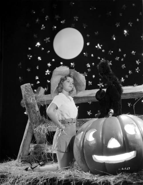 Nan Grey Kneeling Beside of a Pumpkin Portrait Photo Print - Item # VARCEL699416
